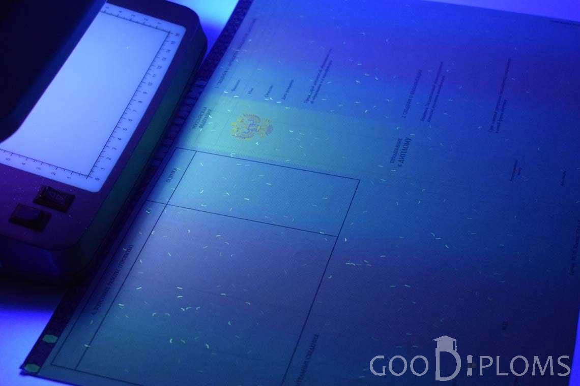 Приложение к Диплому Бакалавра с Отличием в Ультрафиолете период c 2013 по 2025 год - Новокузнецк